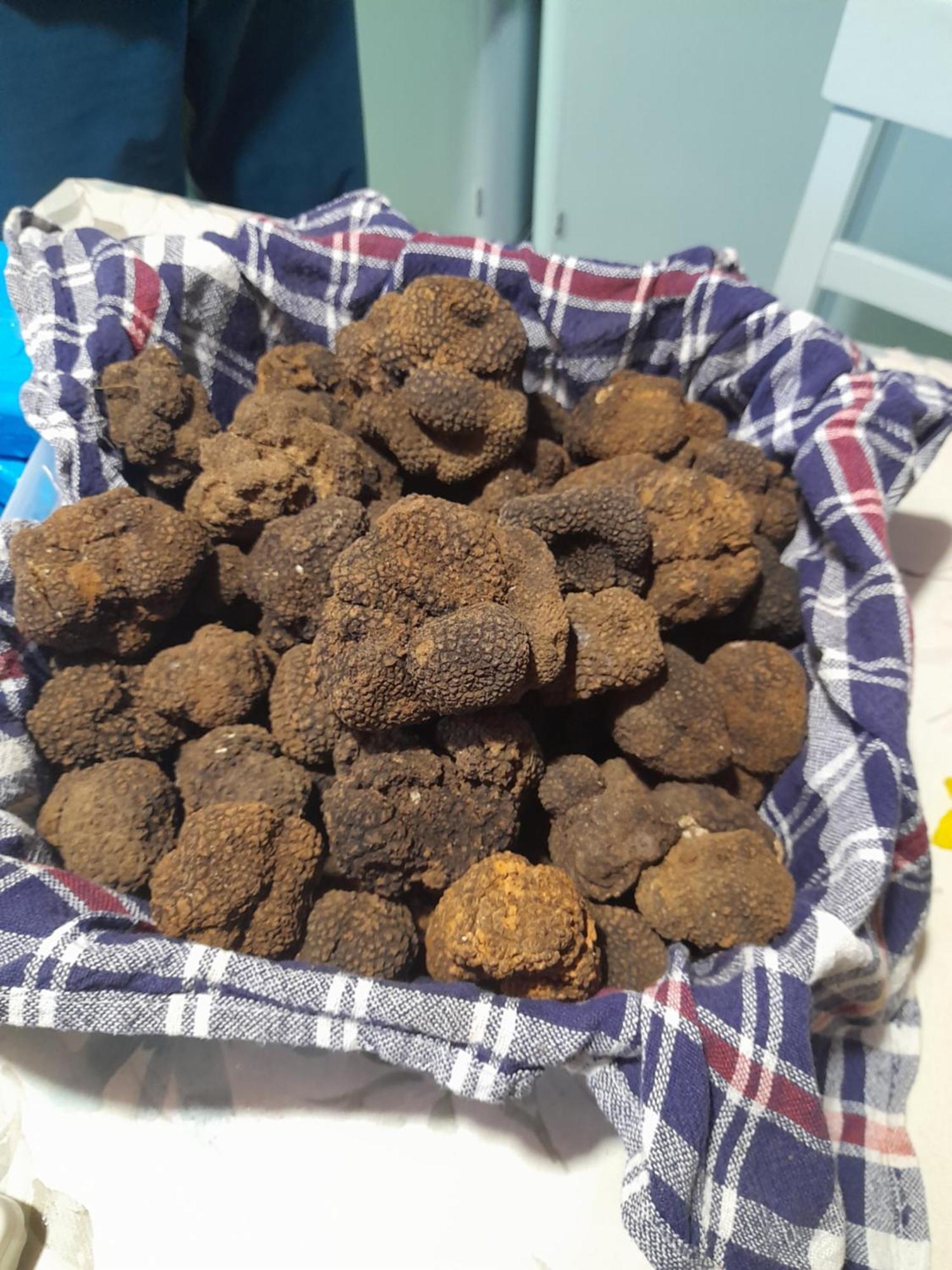 شقة Kuca Za Odmor Lana Kršan الغرفة الصورة